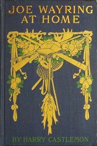 Book cover of "Joe Wayring at Home; or, The Adventures of a Fly-Rod"
