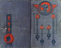 Book cover of "A Hardy Norseman"
