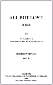 Book cover of "All But Lost: A Novel. Vol. 2 of 3"