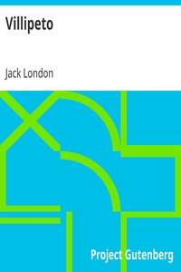 Book cover of "Villipeto"