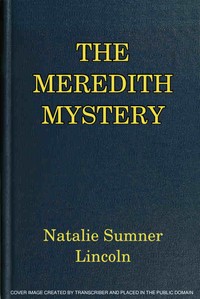 Book cover of "The Meredith Mystery"