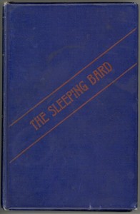 Book cover of "The Visions of the Sleeping Bard"