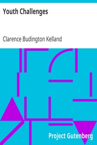 Book cover of "Youth Challenges"