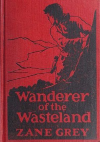 Book cover of "Wanderer of the Wasteland"