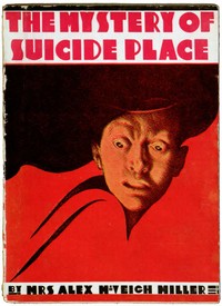 Book cover of "The Mystery of Suicide Place"