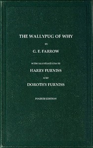 Book cover of "The Wallypug of Why"