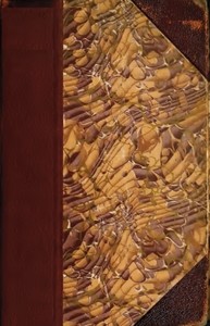 Book cover of "The Fortunes of Nigel"
