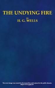 Book cover of "The Undying Fire: A contemporary novel"