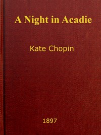 Book cover of "A Night in Acadie"