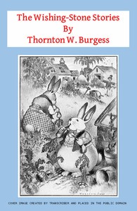 Book cover of "The Wishing-Stone Stories"