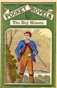 Book cover of "The Boy Miners; Or, The Enchanted Island, A Tale of the Yellowstone Country"