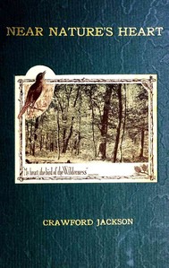 Book cover of "Near Nature's Heart; A Volume of Verse"