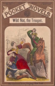 Book cover of "Wild Nat, the Trooper; or, The Cedar Swamp Brigade"