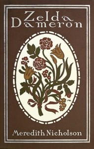 Book cover of "Zelda Dameron"