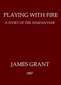 Book cover of "Playing with Fire: A Story of the Soudan War"