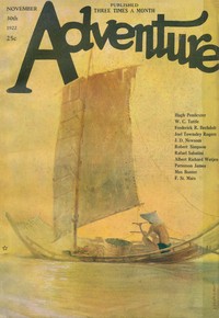 Book cover of "Flames of the Storm"