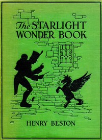 Book cover of "The Starlight Wonder Book"