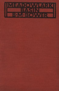 Book cover of "Meadowlark Basin"