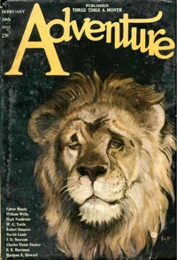 Book cover of "Wise Men and a Mule"