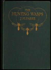 Book cover of "The Hunting Wasps"