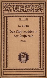 Book cover of "Das Licht leuchtet in der Finsternis: Drama in vier Aufzügen"