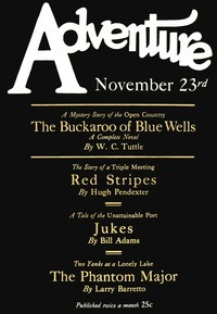 Book cover of "The Buckaroo of Blue Wells"