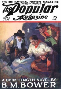 Book cover of "The Adam Chaser"