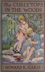 Book cover of "The Curlytops in the Woods; Or, Fun at the Lumber Camp"