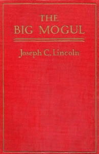 Book cover of "The Big Mogul"