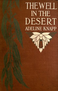Book cover of "The well in the desert"