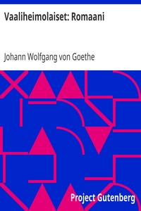 Book cover of "Vaaliheimolaiset: Romaani"