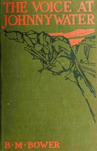 Book cover of "The voice at Johnnywater"