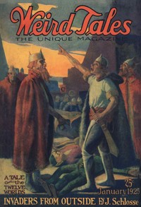 Book cover of "The festival"