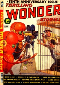 Book cover of "Robot nemesis"