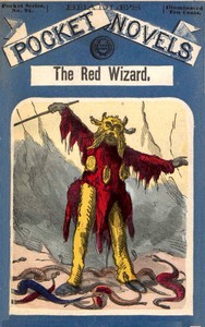 Book cover of "The red wizard, or, the cave captive"
