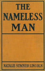 Book cover of "The nameless man"