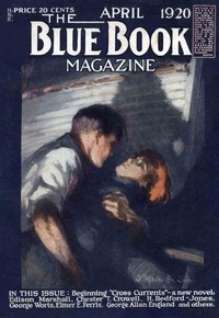 Book cover of "The hollow lens"