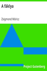 Book cover of "A fáklya"