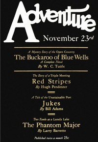 Book cover of "Red stripes"