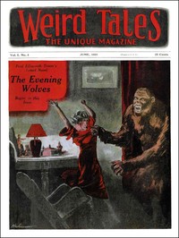Book cover of "The voice in the fog"