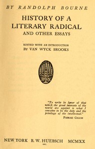 Book cover of "History of a literary radical, and other essays"