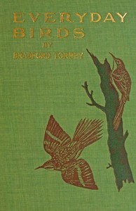 Book cover of "Everyday birds: Elementary studies"