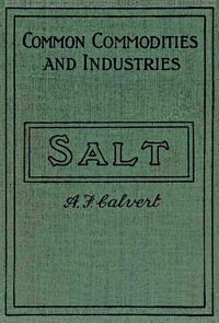 Book cover of "Salt and the salt industry"