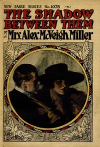 Book cover of "The shadow between them; or, A blighted name"