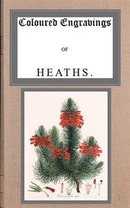Book cover of "Coloured engravings of heaths; vol. 2"