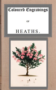 Book cover of "Coloured engravings of heaths; vol. 4"