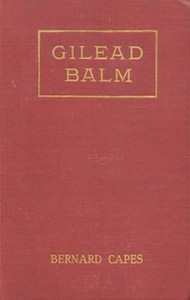 Book cover of "Gilead Balm, knight errant : His adventures in search of the truth"