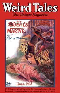 Book cover of "The lurking fear"