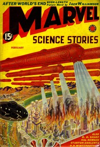 Book cover of "After world's end"