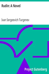 Book cover of "Rudin: A Novel"